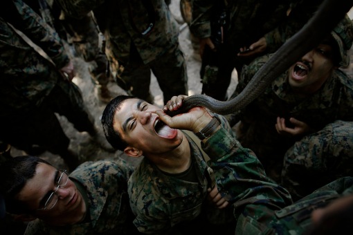 A U.S. Marine drinks the blood of a cobra during a jungle survival exercise with the Thai Navy as part of the "Cobra Gold 2013" joint military exercise, at a military base in Chon Buri province