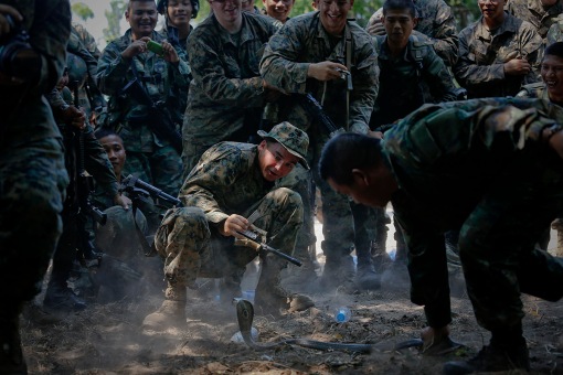 U.S. marines react as a cobra gets too close to them during a jungle survival exercise with the Thai Navy as part of the "Cobra Gold 2013" joint military exercise, at a military base in Chon Buri province