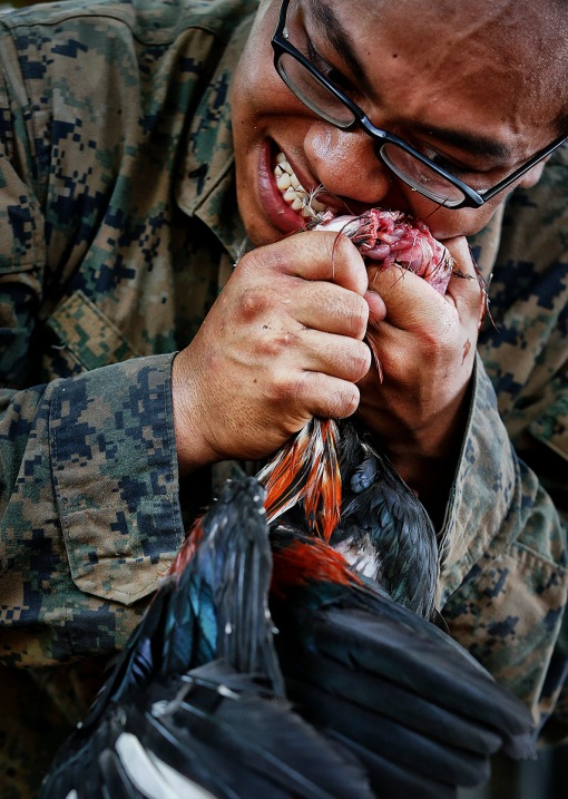 A U.S. marine kills a chicken with his teeth during a jungle survival exercise with the Thai Navy as part of the "Cobra Gold 2013" joint military exercise, at a military base in Chon Buri province