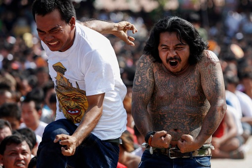 Devotees in a state of trance mimic the creatures which are tattooed on their body during the annual Magic Tattoo Festival at Wat Bang Phra in Nakhon Prathom province